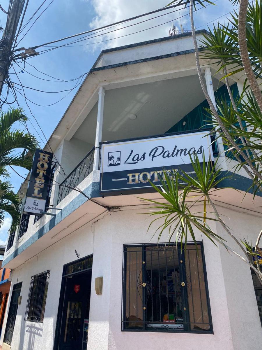 HOTEL LAS PALMAS - Housity