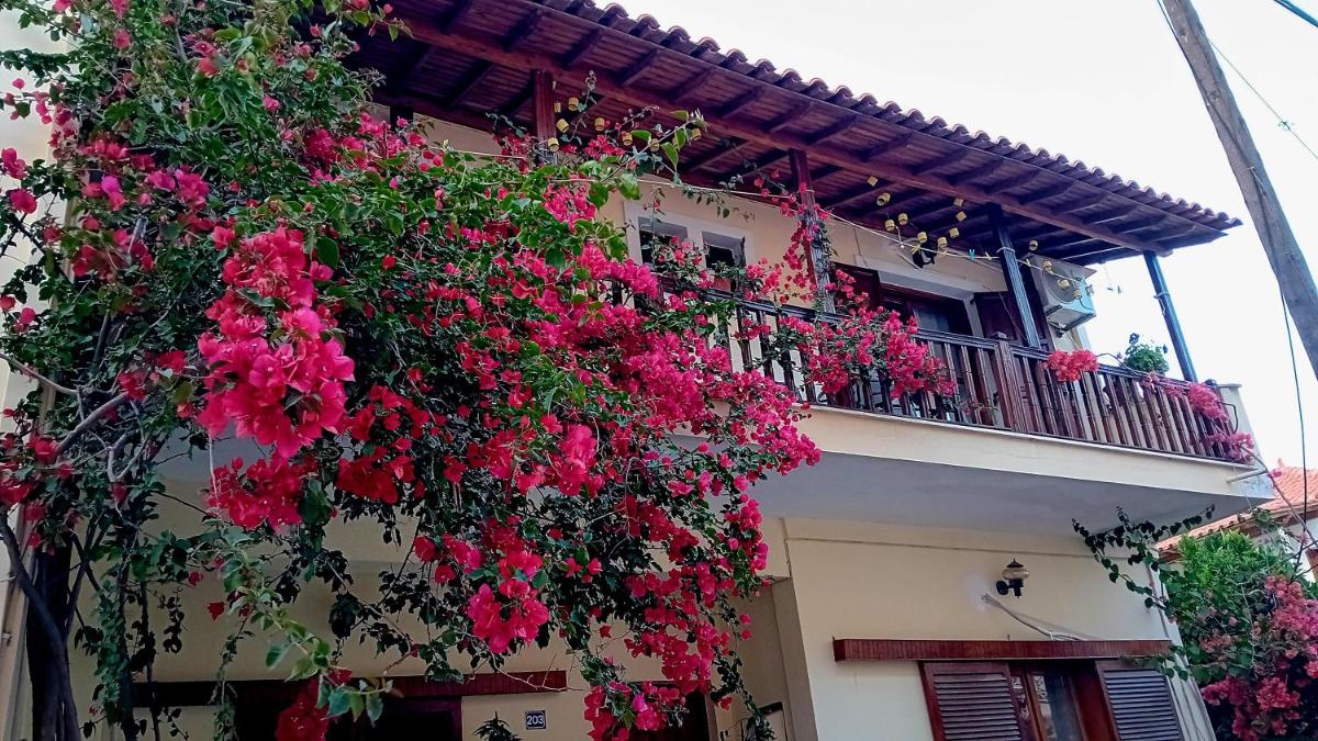 Studio Despoina - Housity