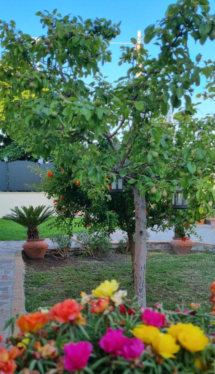 Il Melograno - Housity