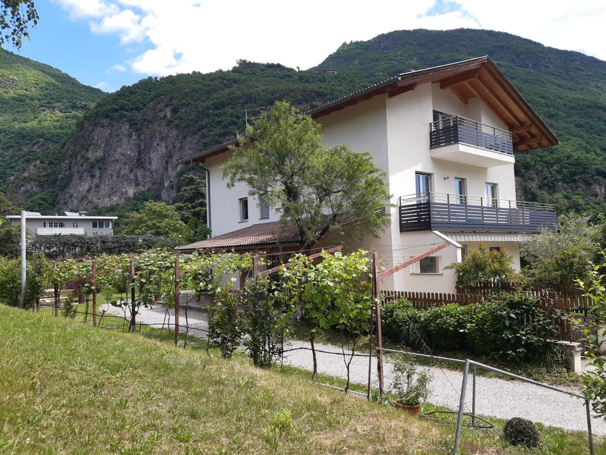 Ferienwohnungen HÖLLERHOF in Terlan - Housity
