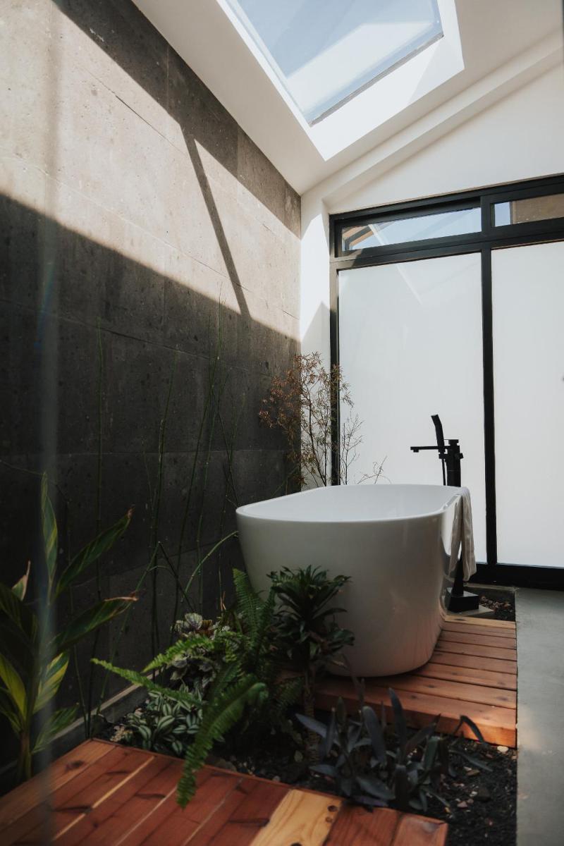 Suitetrails - Bajo Estrellas Hotel Contemporáneo