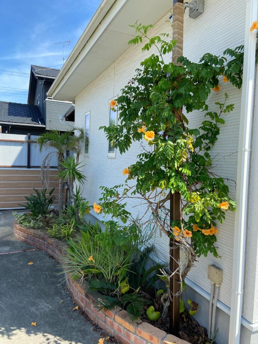 extra for pets Nalu resort T-1 - Vacation STAY 9097 - Housity