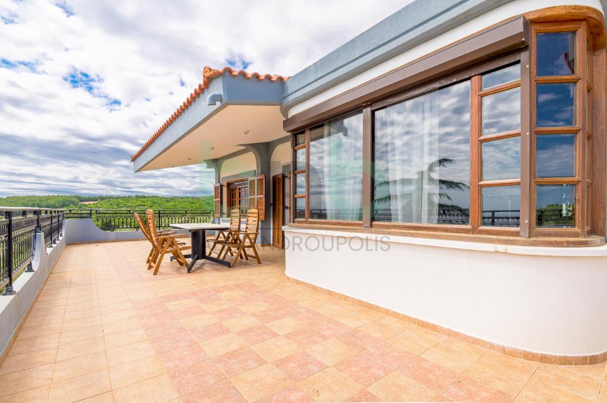 Oasis Palm Villa - Housity