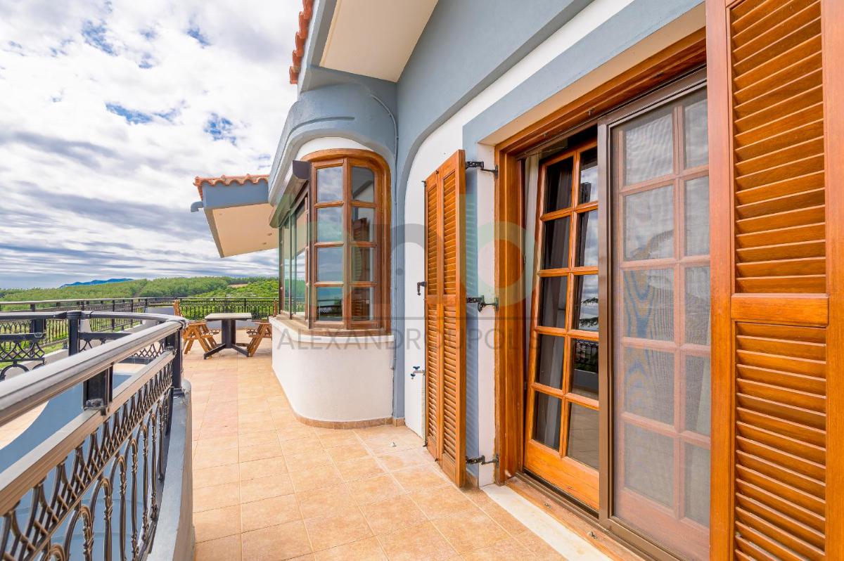 Oasis Palm Villa - Housity