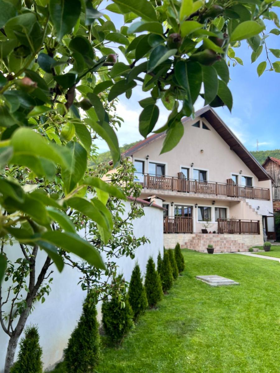 CASA ALEXANDRA - Housity