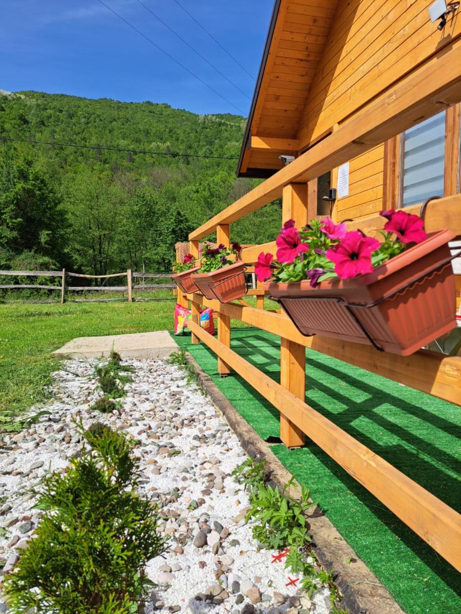 Turistički kompleks - MONTANA - Housity