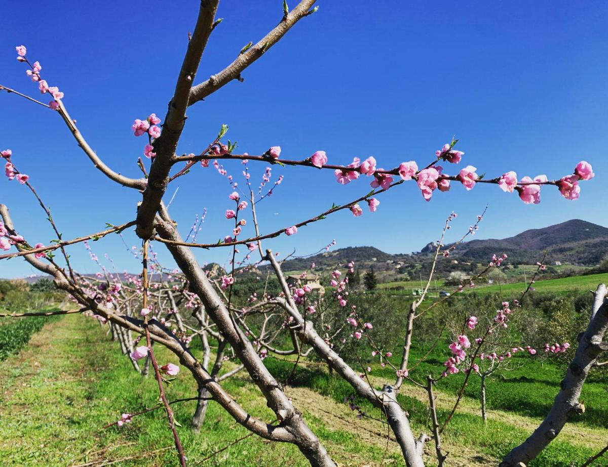 Agriturismo Casale Sasso - Hizvo