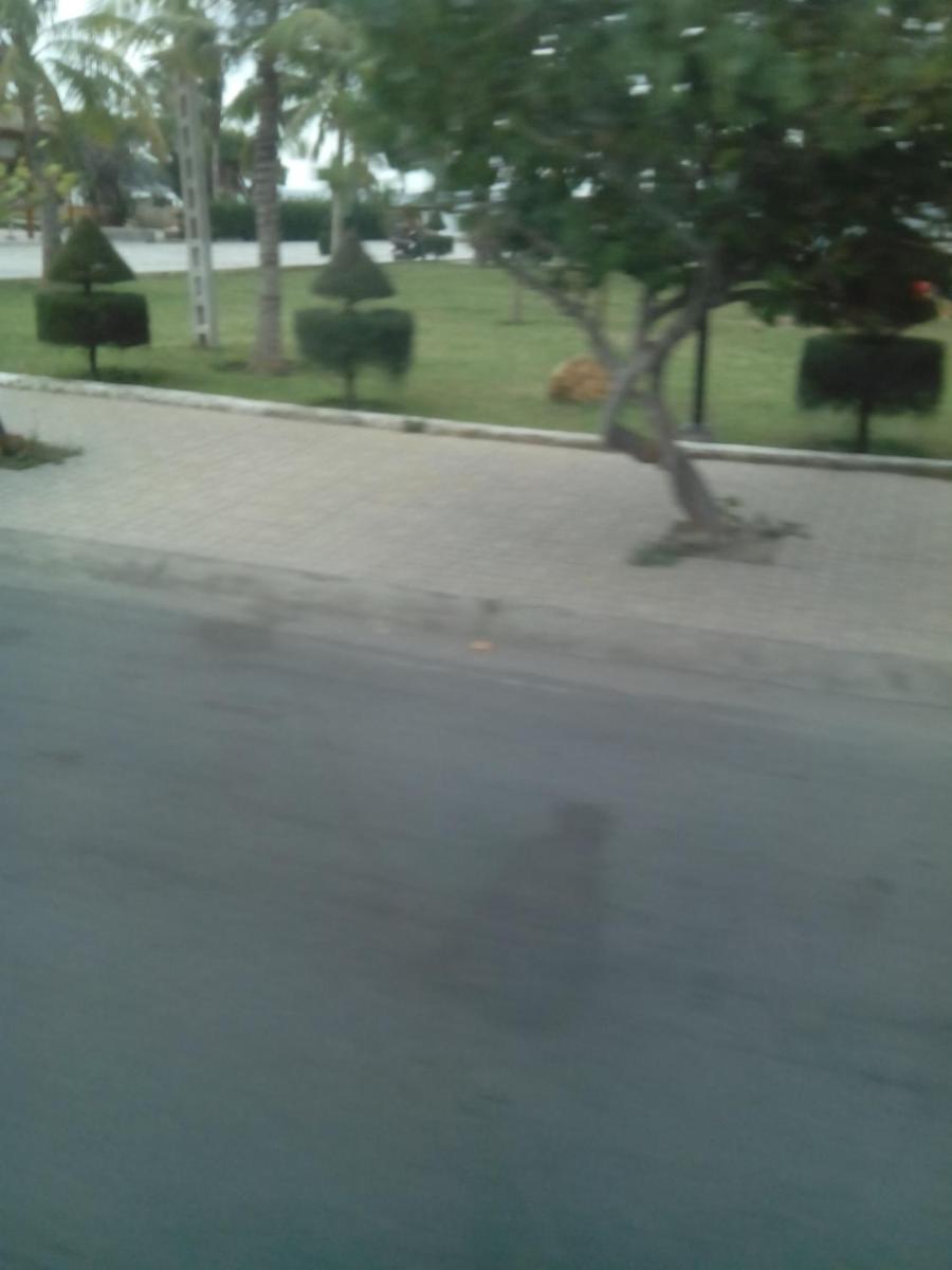 bãi sau - Housity