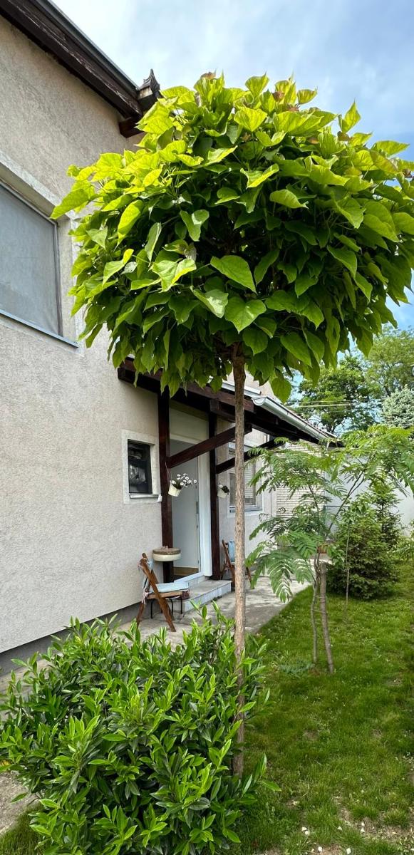 Day & Night Apartment - Housity