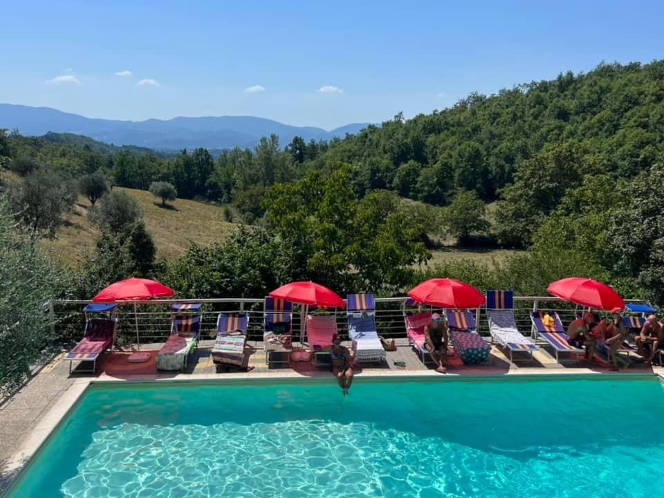 Ala di Maniero in Agriturismo Valdrago in Toscana, nel Verde Mugello sulle Colline di Firenze - Housity
