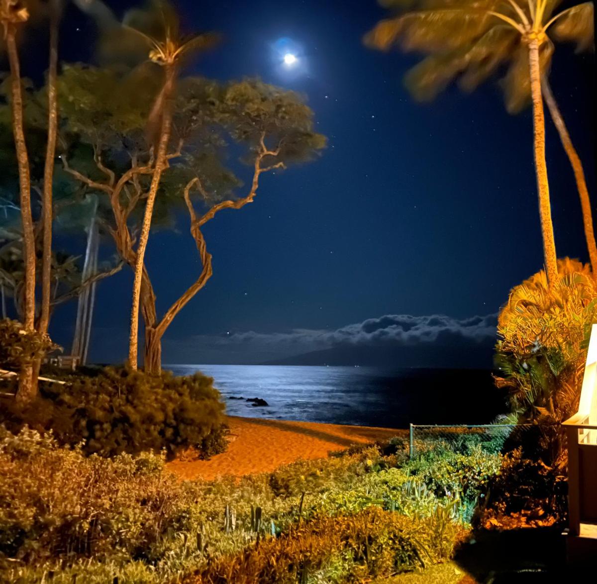 The Napili Bay 111 - Ocean View Studio - Steps from Napili Beach - Housity