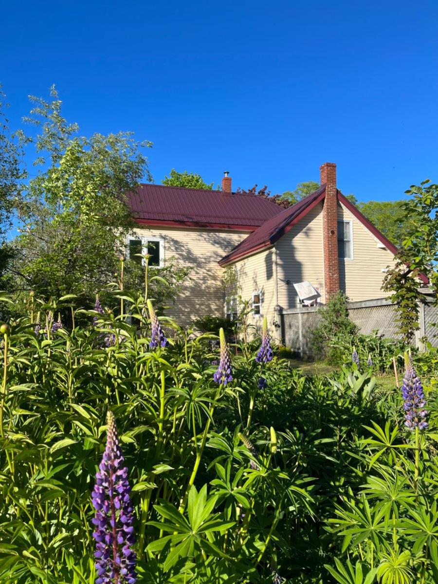 B&B Art of Germany - Housity
