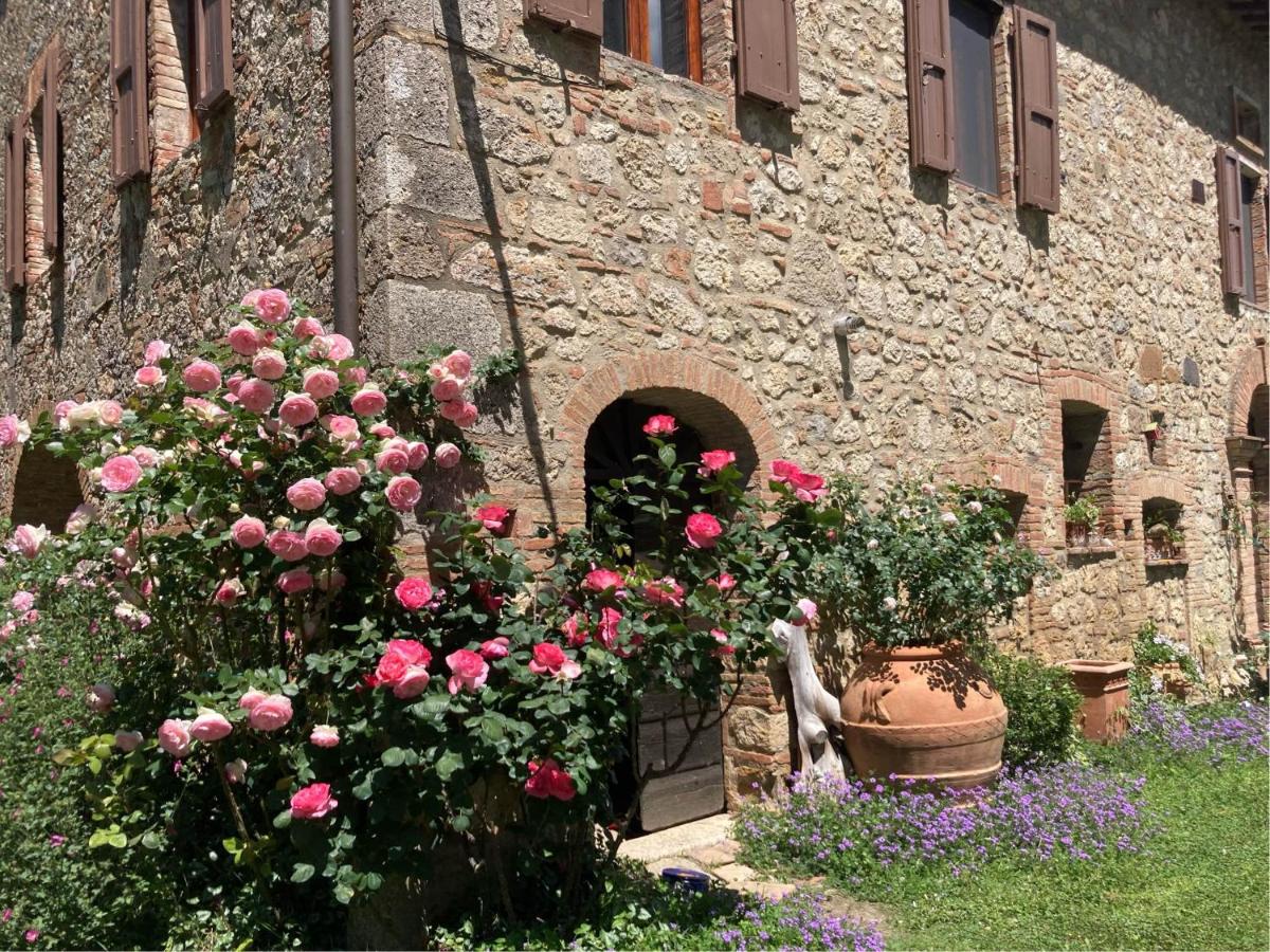 Agriturismo Il Caio - Hizvo