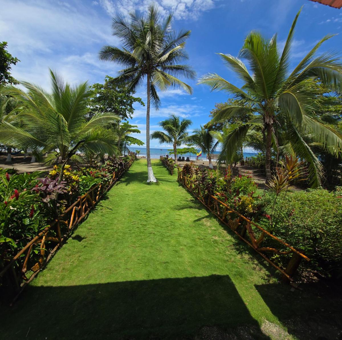 TORTUGA BAY Eco Hotel - Housity