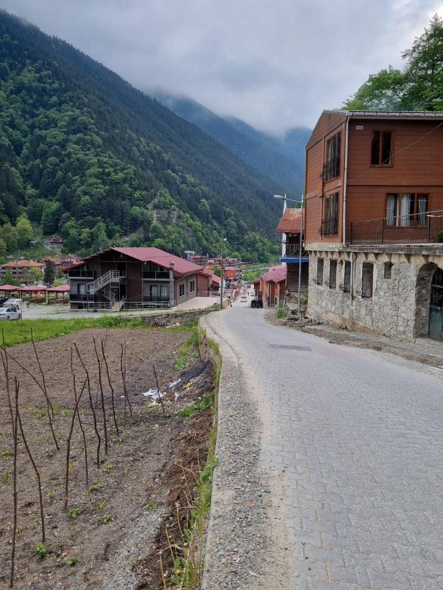 Gozno Taş Ev - Housity