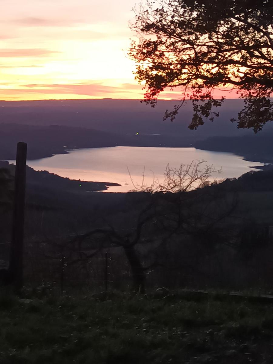 Piccola Sorpresa Il preferito degli escursionisti sul Cammino - Housity