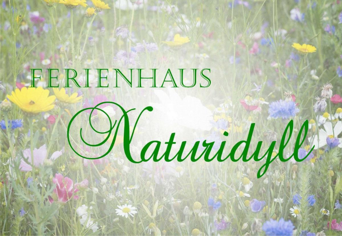 Ferienhaus Falkenhagen mit Garten - Housity