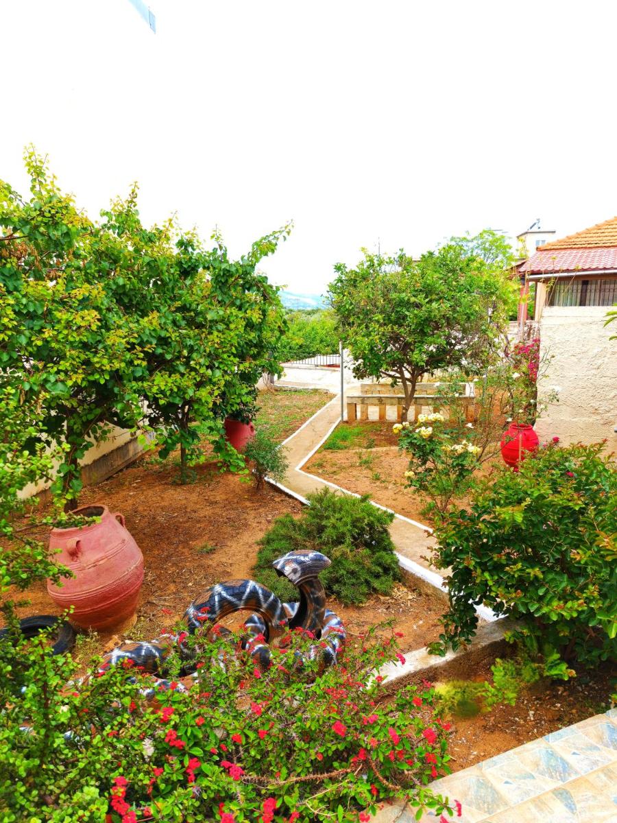 Village house with a nice garden - Housity