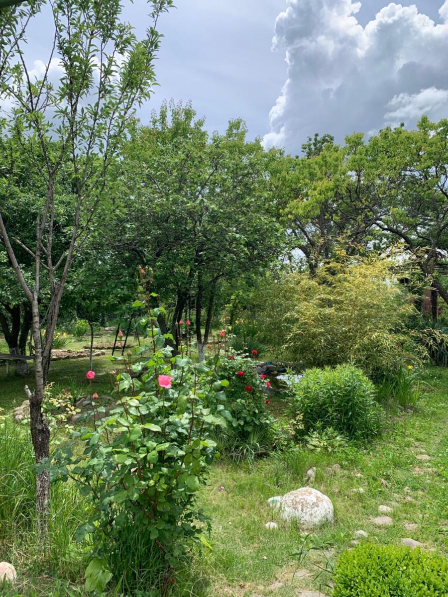 Hotel Villa DavidL - Housity