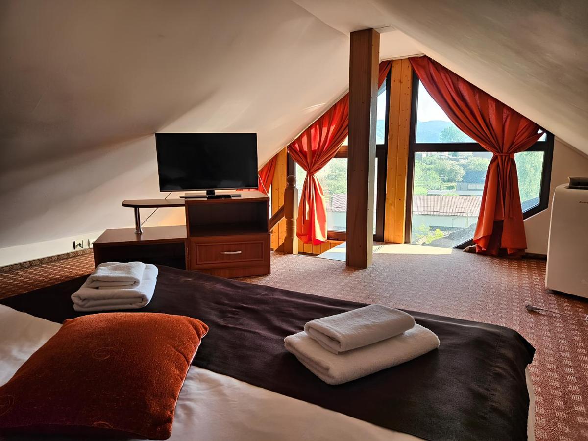 Pensiunea Andrei Moieciu - Housity