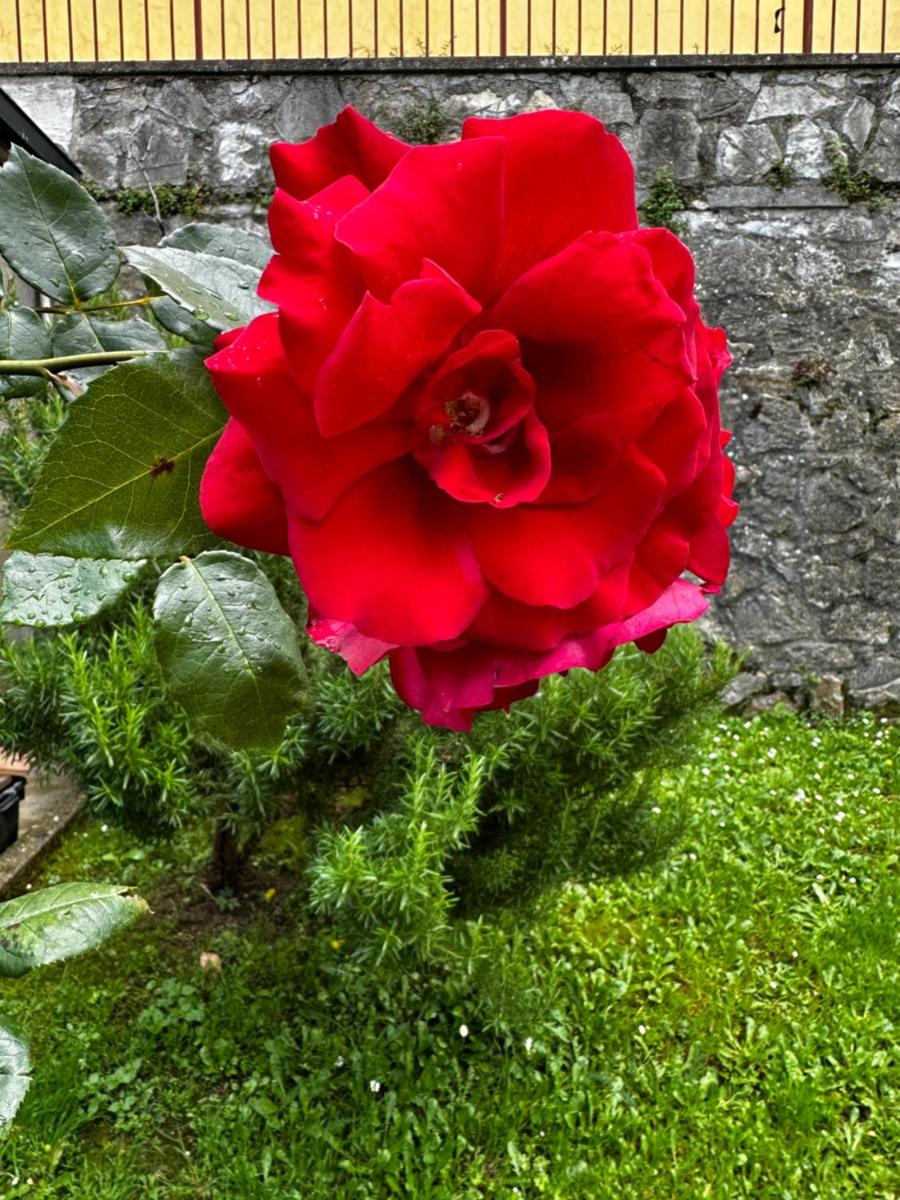 2-bedroom apartment in heart of Tuscany with free parking - Housity