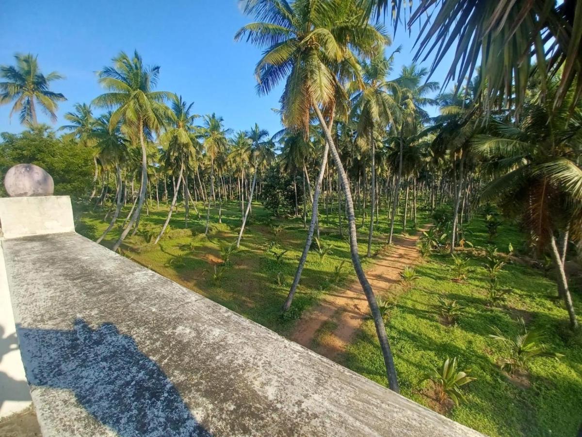 Eco tree holiday home - Housity