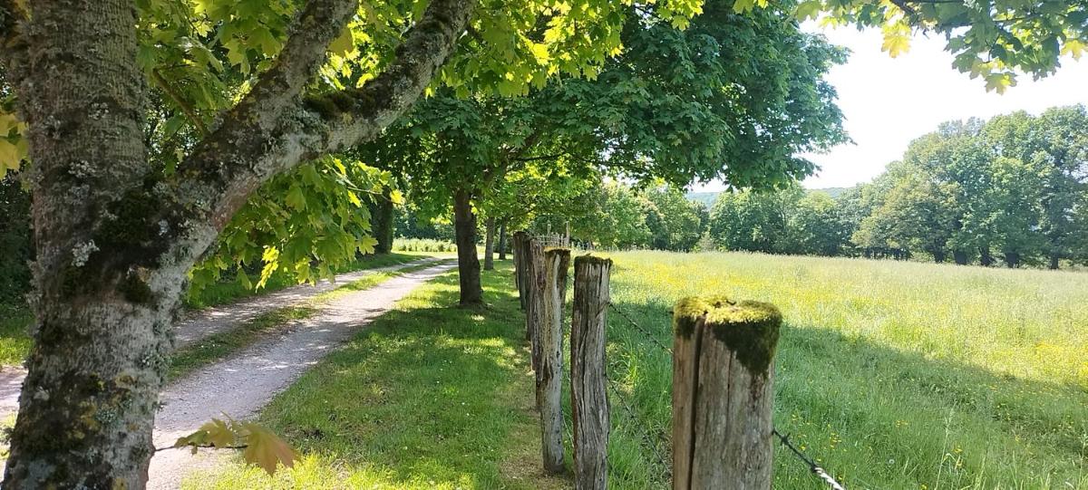 La roulotte de Jane - Housity