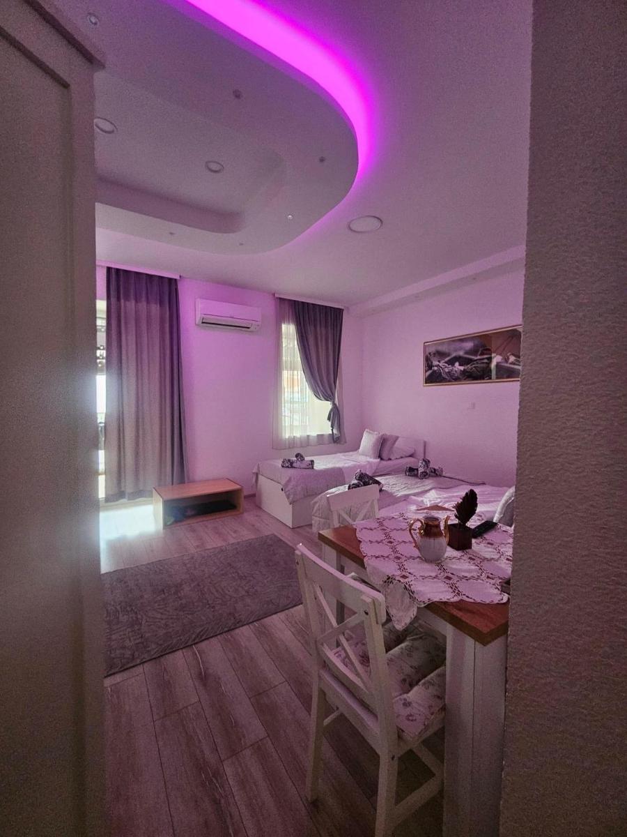 Carpe Diem Apartments - Housity