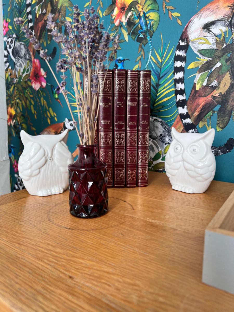 The Badger Set - Housity