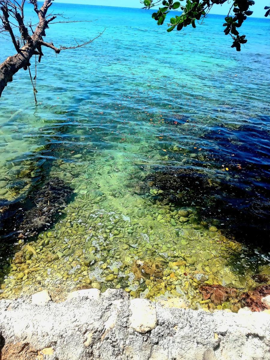 treehouse above the beach - Housity