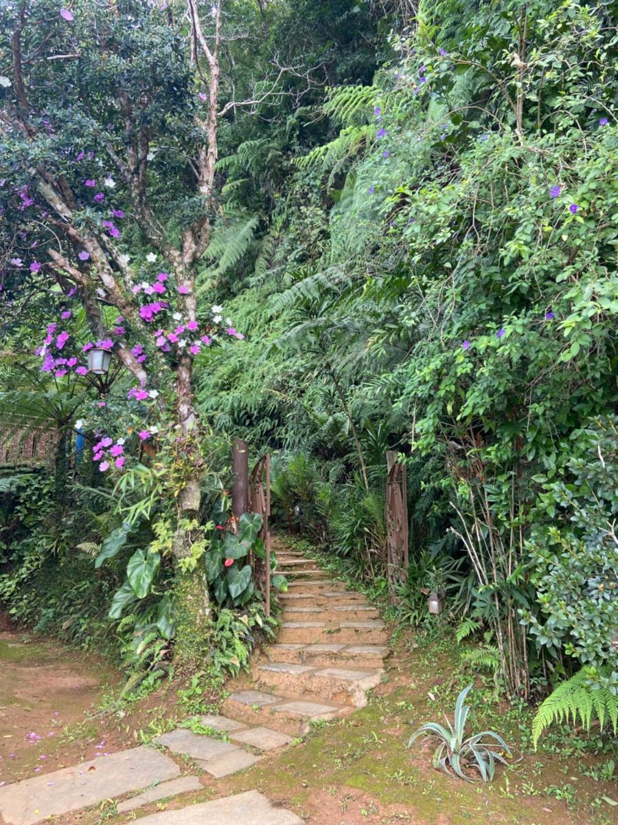 Chapéu das Montanhas - Housity