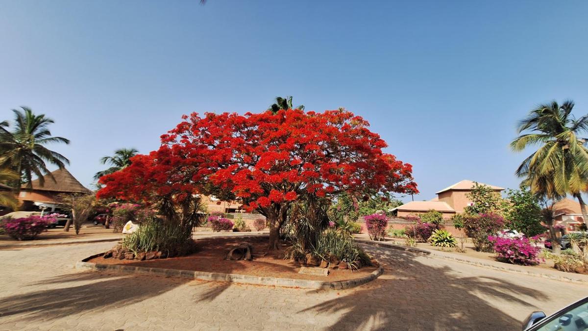 Safari Village - Case73 - Housity