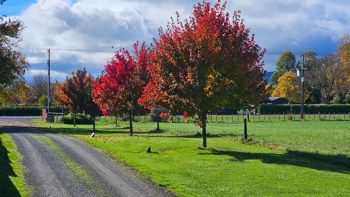 112 Rural View - Housity