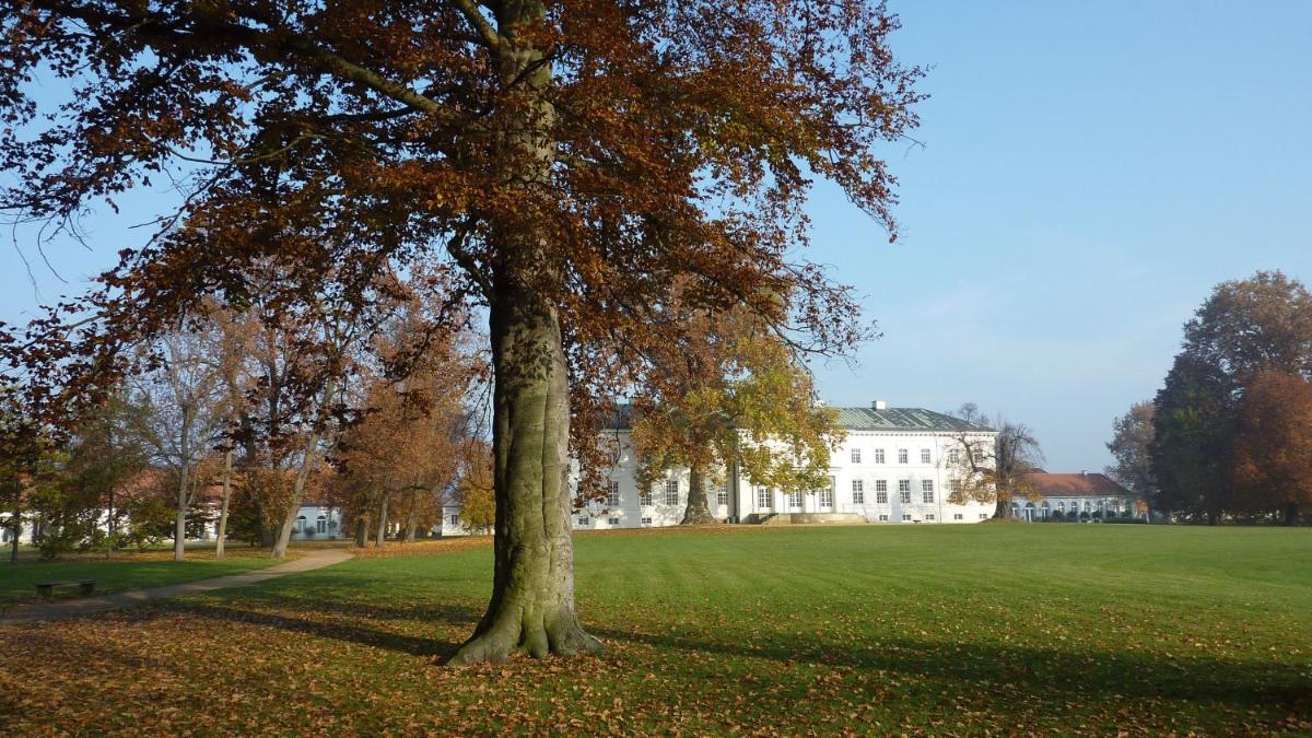 Hotel Schloss Neuhardenberg - Housity
