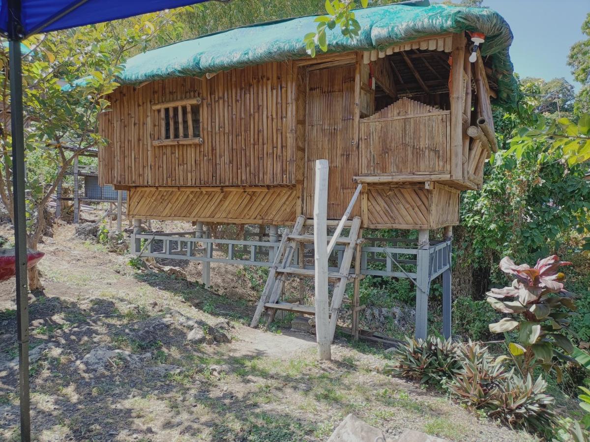 Bon Joy's Transient House - Housity