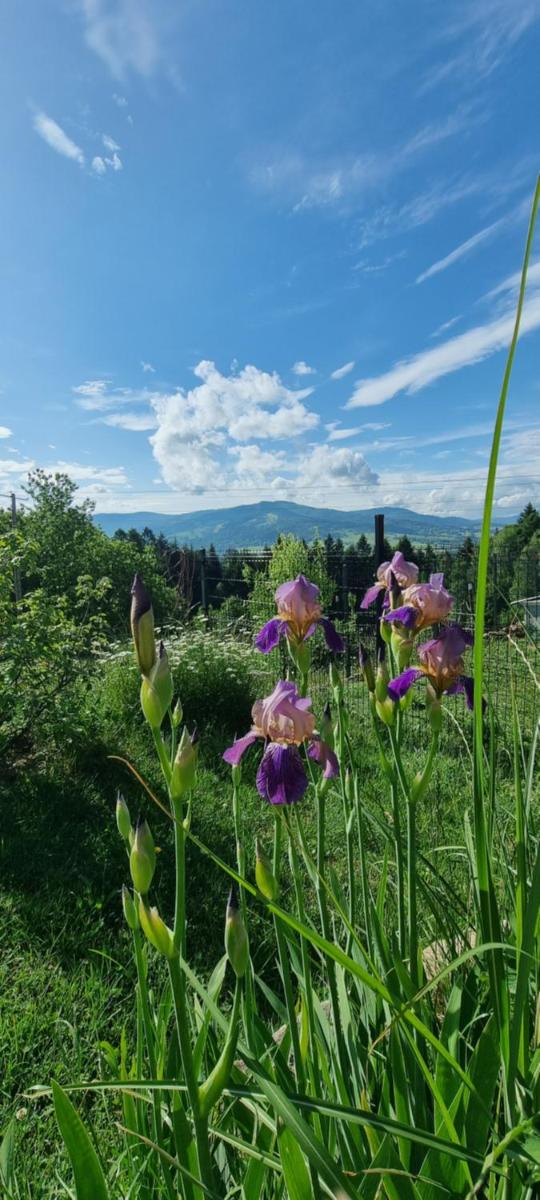 Noclegi u Babci Gieni - Housity
