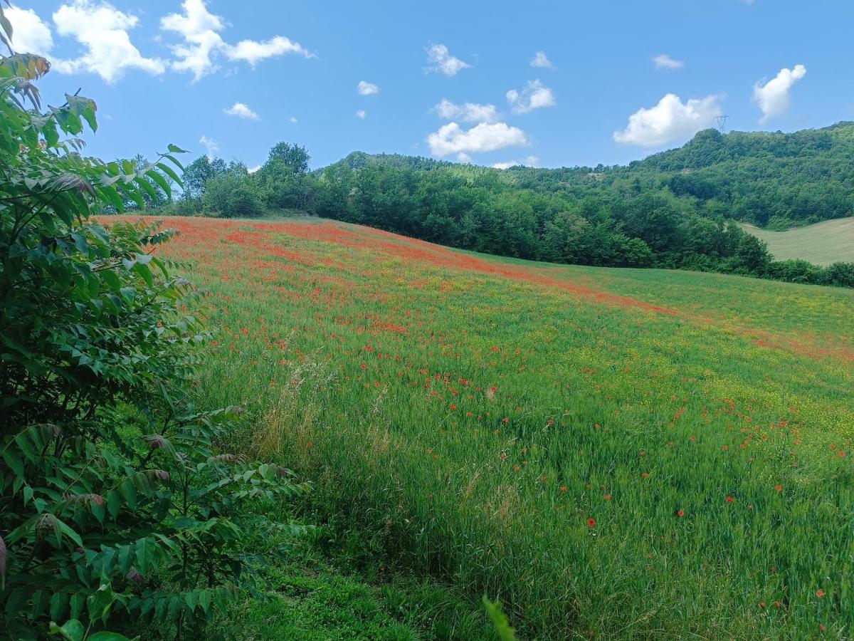 Monte Bibele - Housity