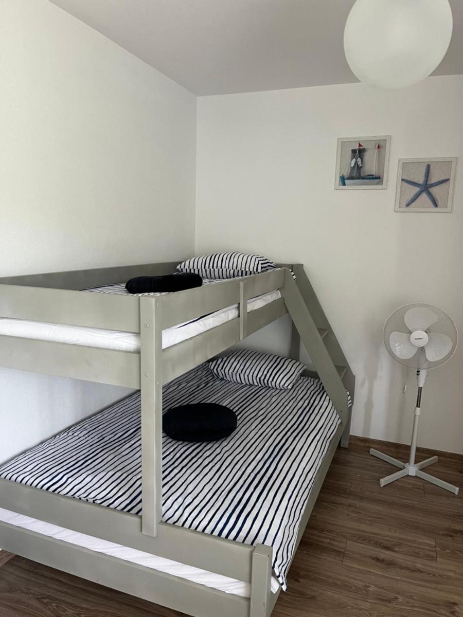 Bukszpan - Housity