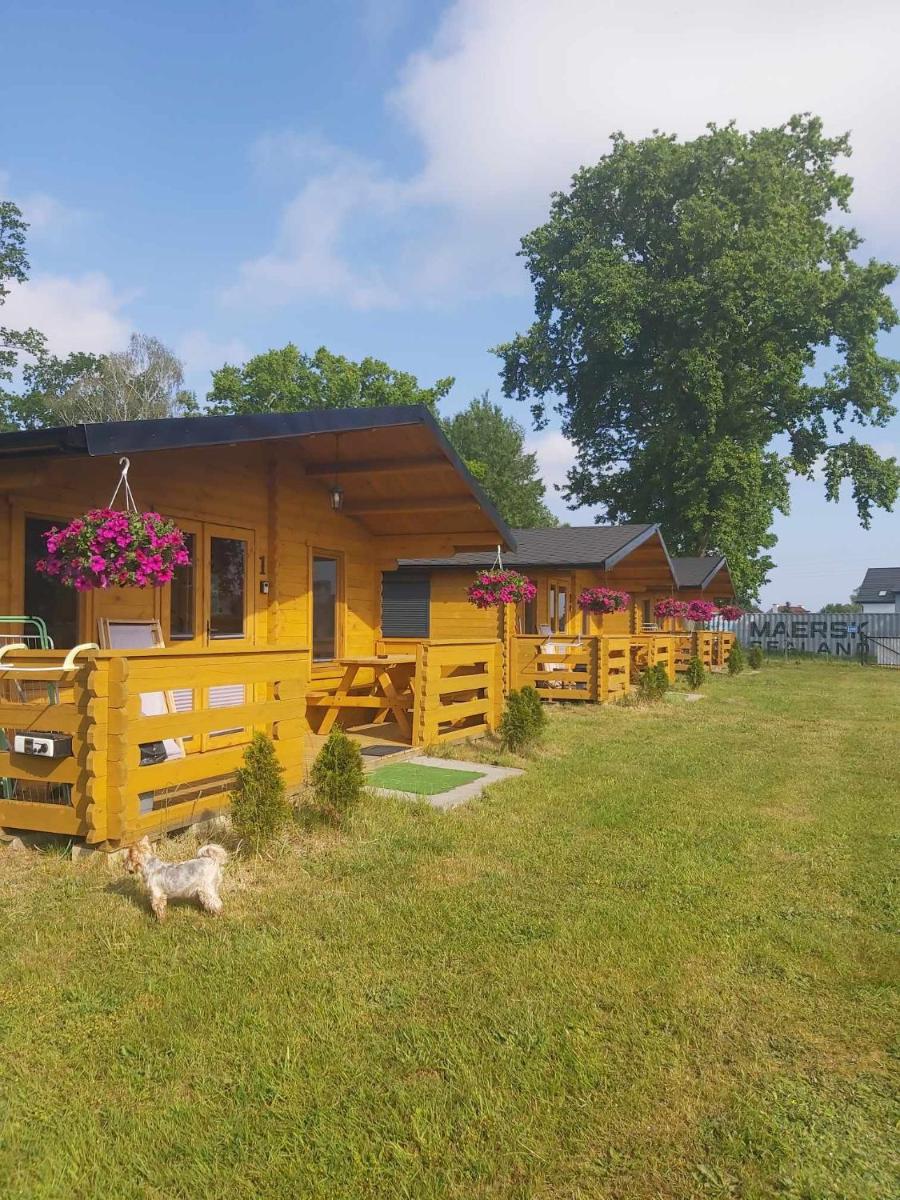 DOMKI POD DĘBEM - Housity