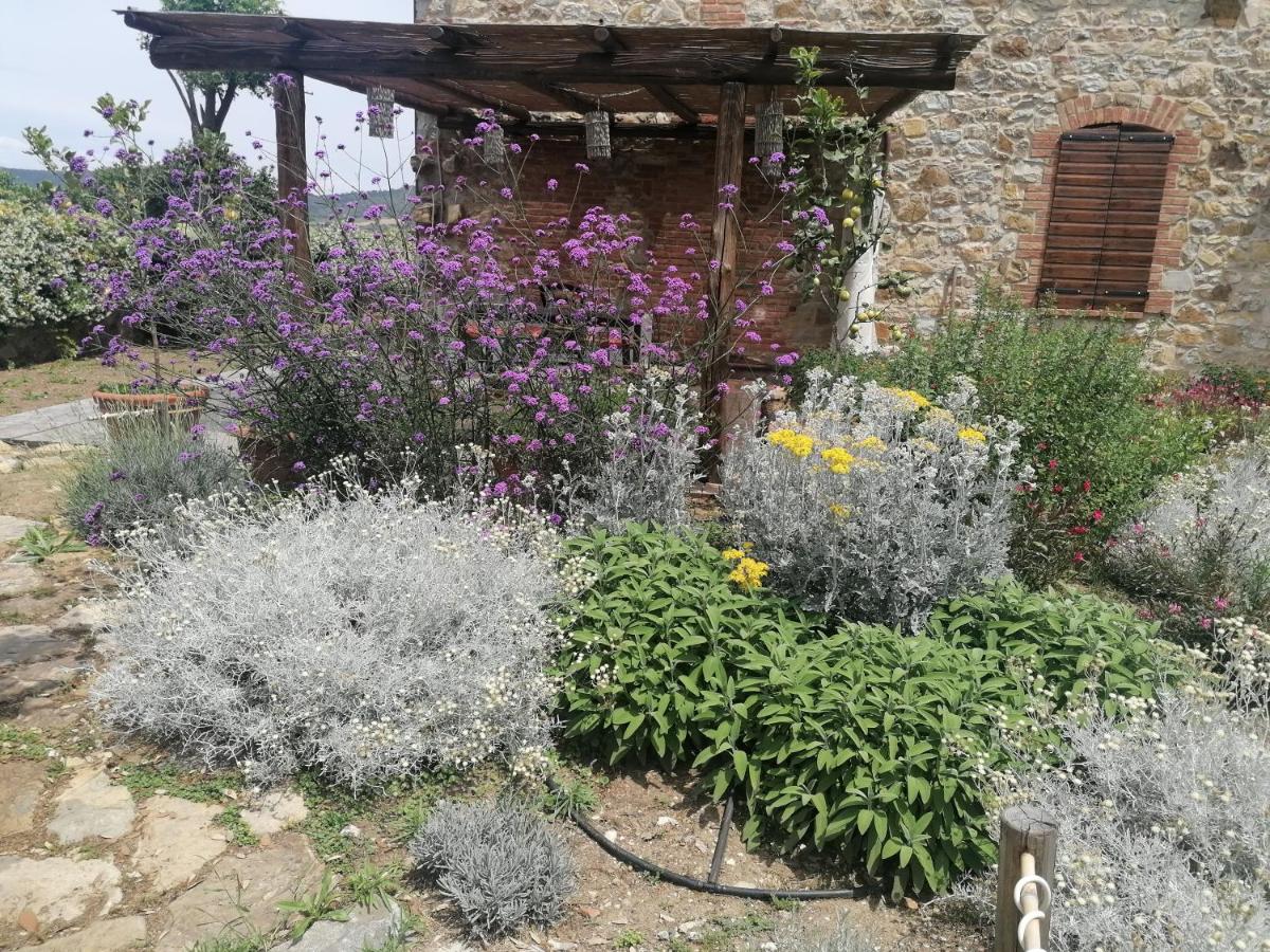 Affitti Brevi Toscana - Ospitalità in Campagna - Housity