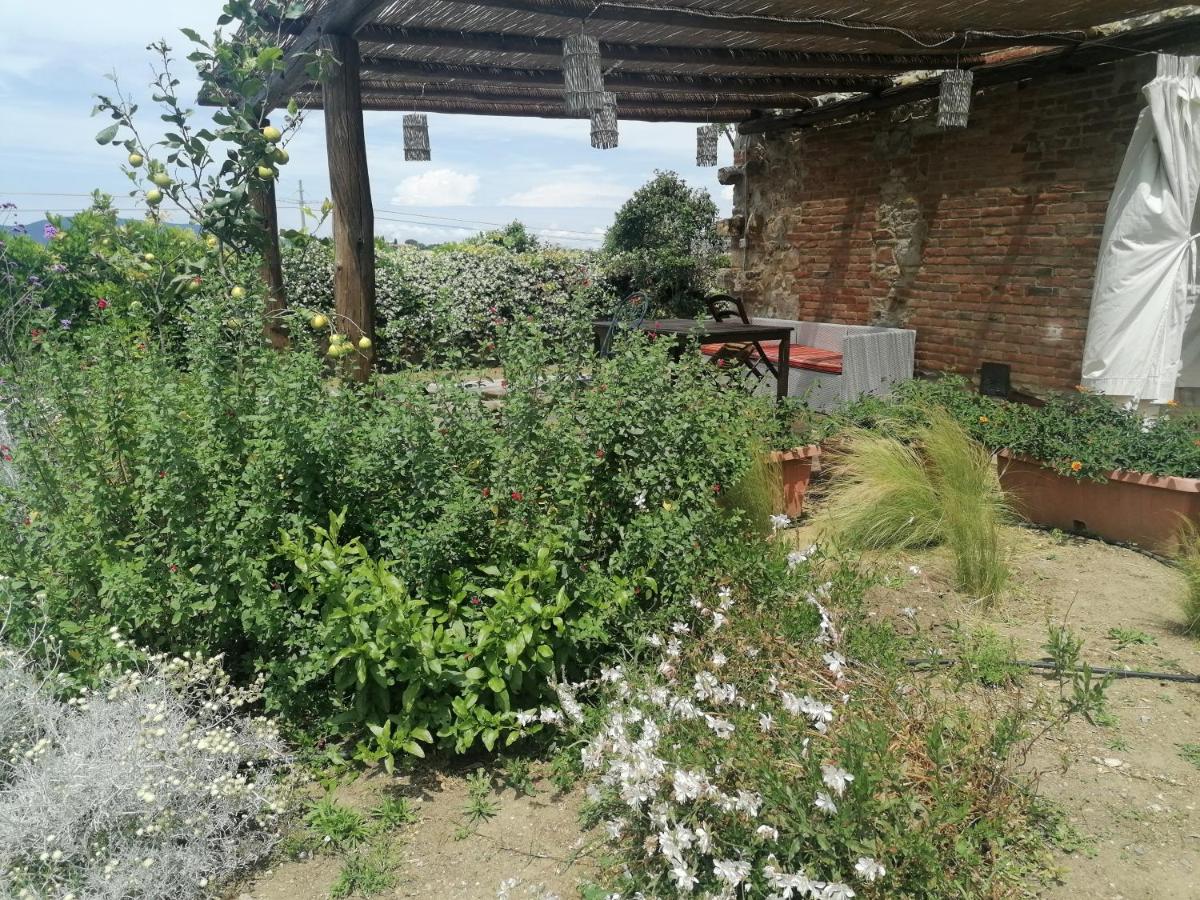 Affitti Brevi Toscana - Ospitalità in Campagna - Housity