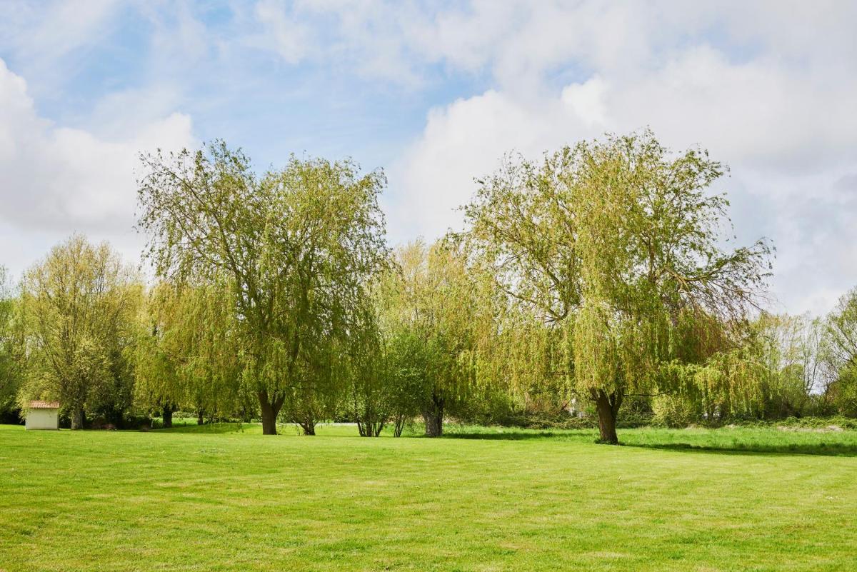 Jardin de l'établissement Hotel Spa Les Saules