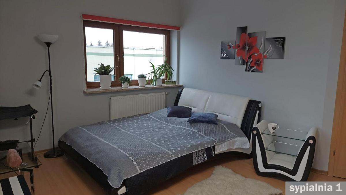 Apartament Wesoła - Housity
