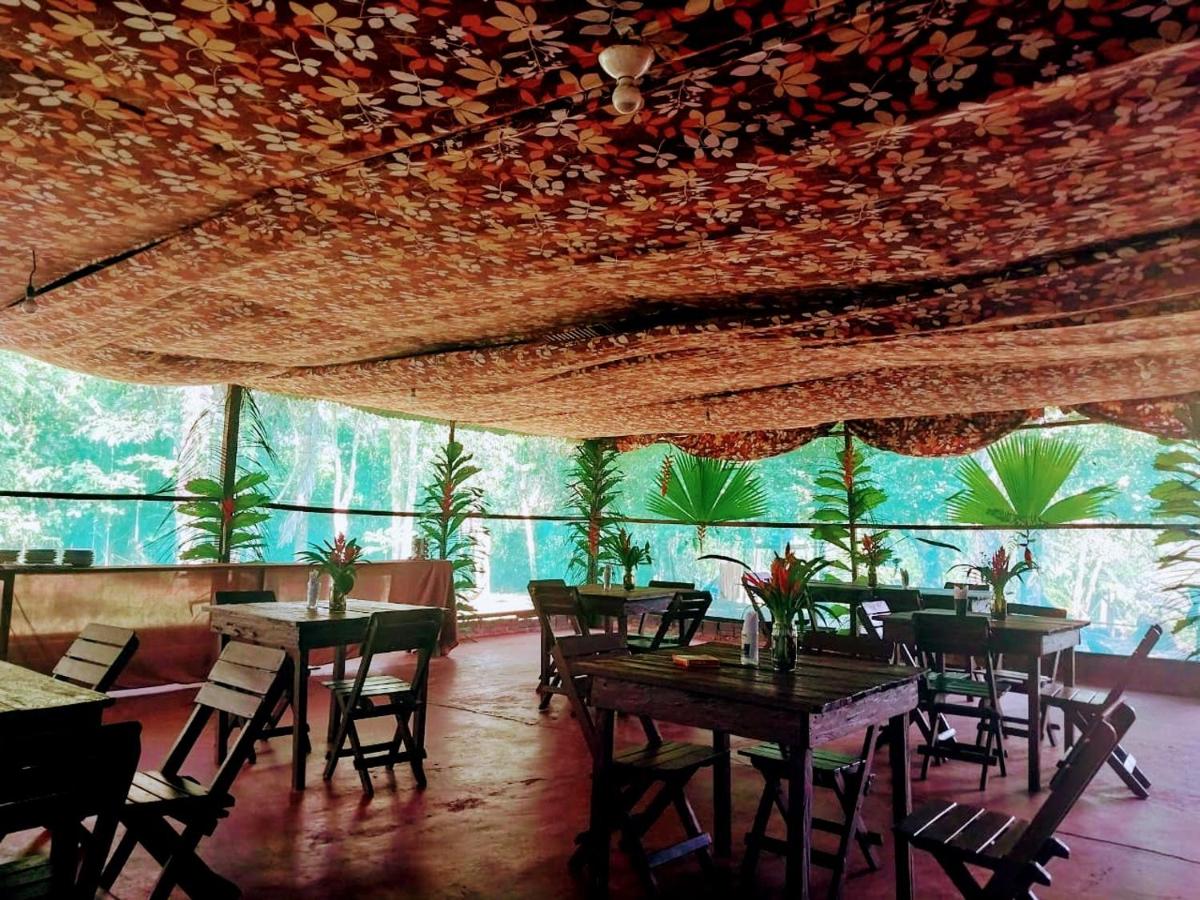 Jungle Explorer Lodge - Housity