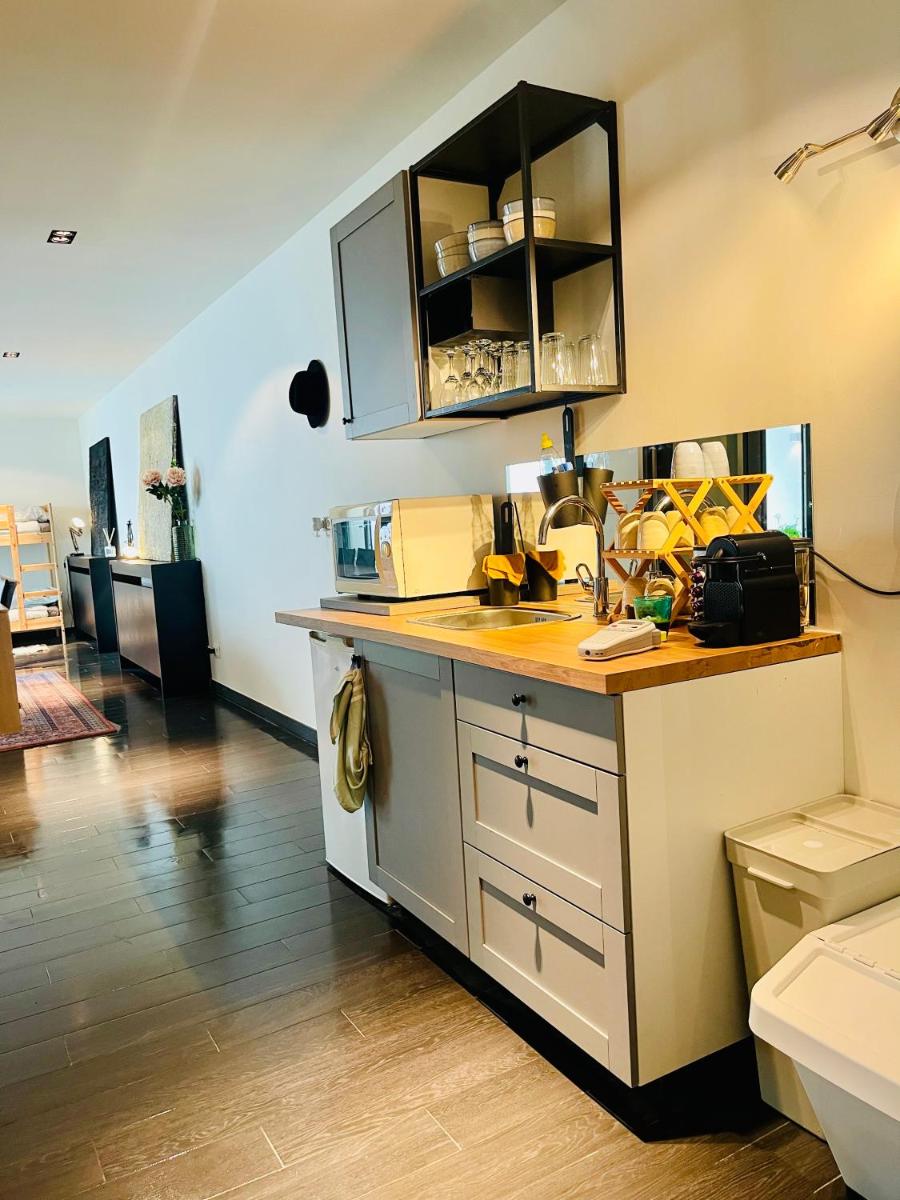 Down Town Spacious Loft Retreat with Private Parking - Hizvo