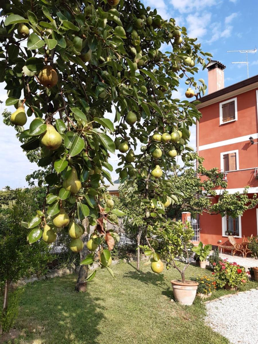 B&B Casa del Conte - Housity