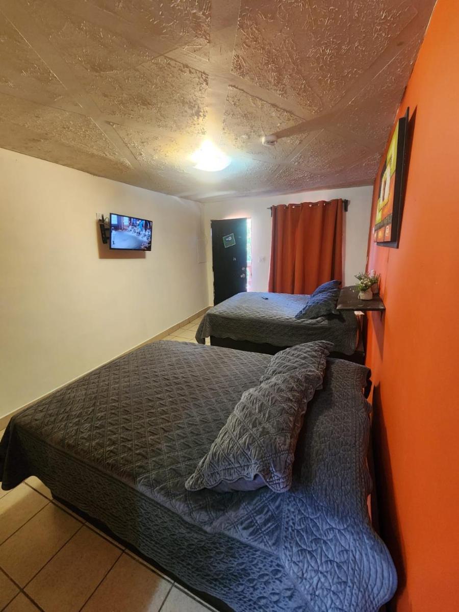 Orange condo - Housity