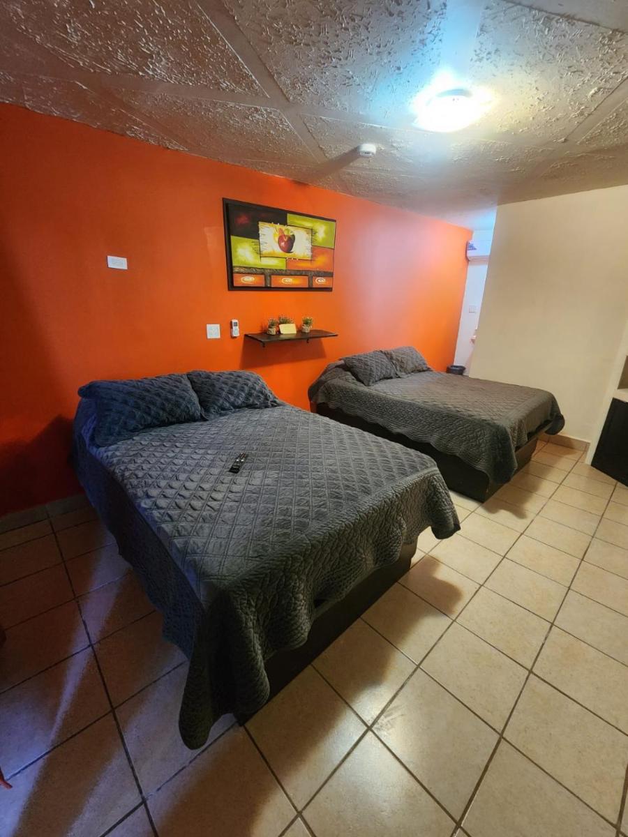 Orange condo - Housity