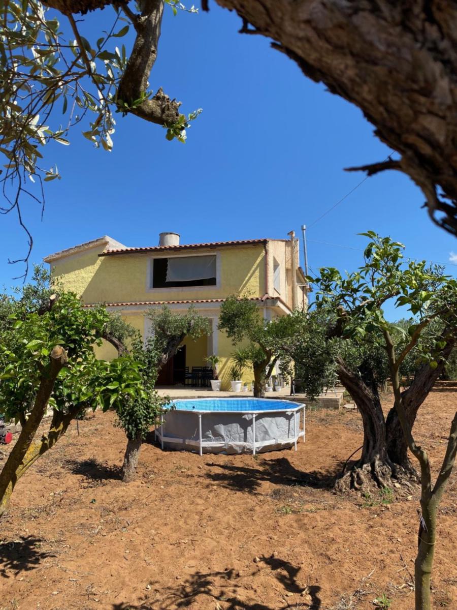 Villa Medusa - Housity