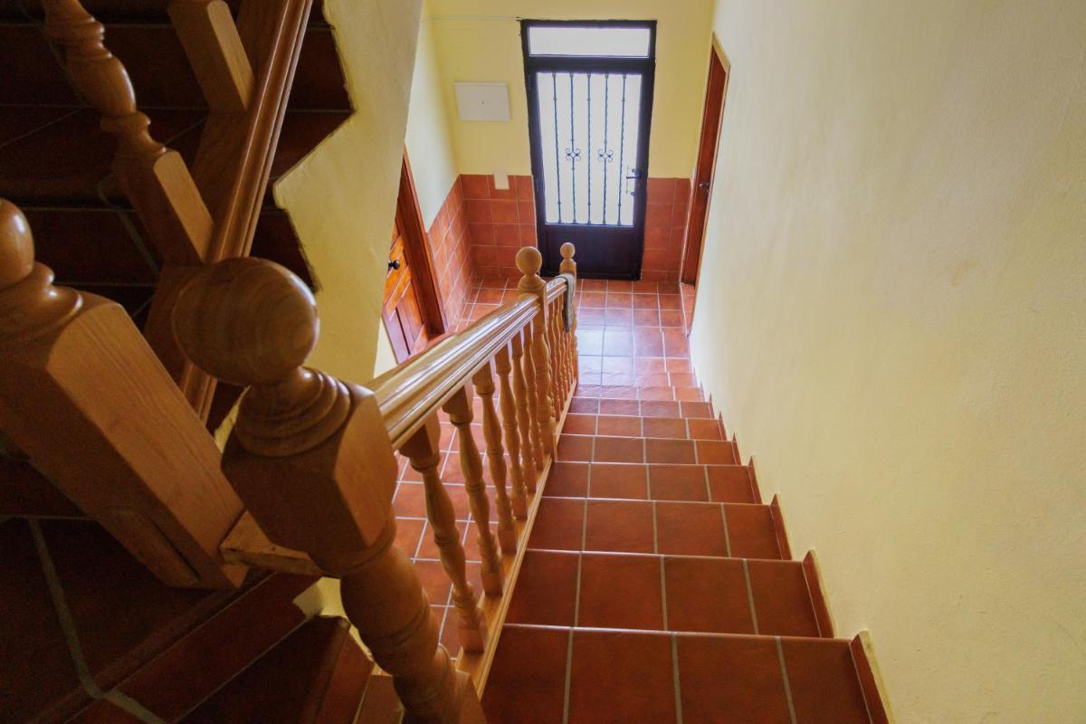 Vut jaci y cipri - Housity